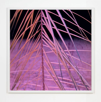 1a26_kodacolor-ektachrome-34-framed.jpg