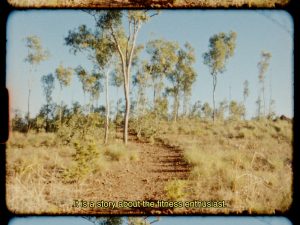Alana Hunt. "Everyone talks about stolen cars, and not about stolen Country"